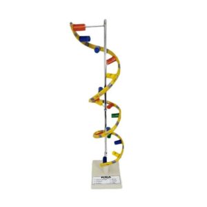 Model RNA