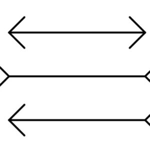 Muller Layer Illusions
