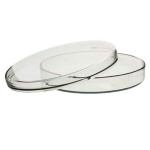Petri dish